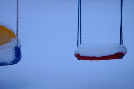 winter swing photo