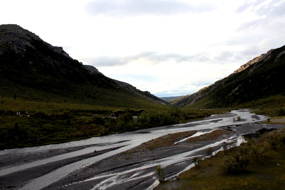 Denali National Park 16
