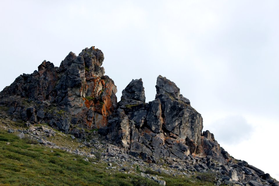 Denali National Park 27