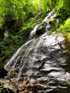 Hen Wallow Falls, June 2017--Andrea Walton