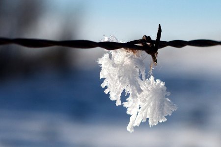 Ice Fishing