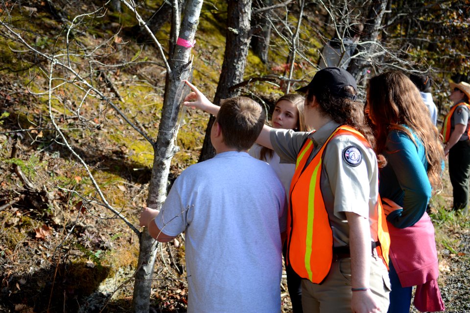 Foothills Parkway Education Day, November 7, 2018--Chalice Keith