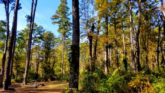 Daingerfield State Park photo