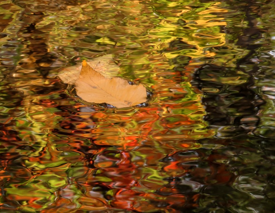 Autumn reflections, October 2016--Warren Bielenberg