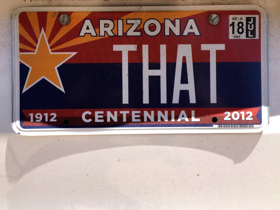 THAT License Plate