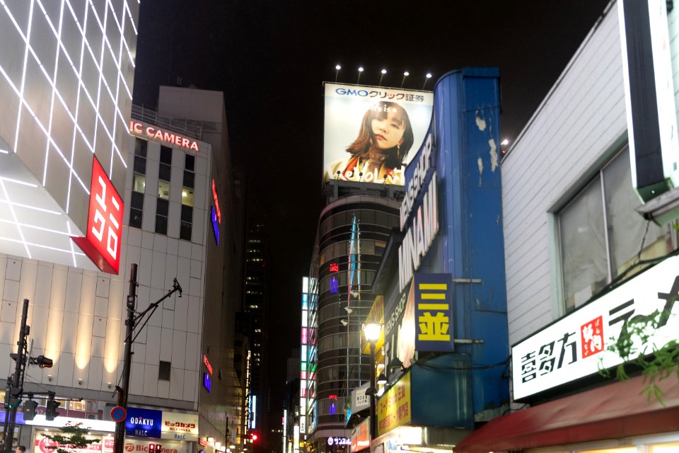 2019 Tokyo Nighttime Neon Pedestrians and Traffic (28) photo