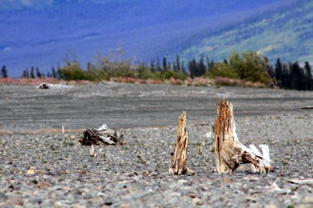 ALCAN Highway 8