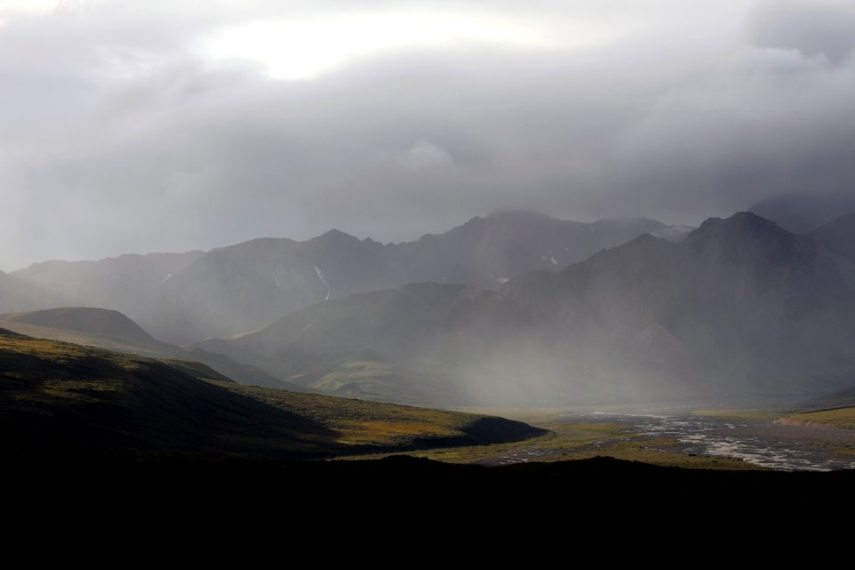Denali National Park 12