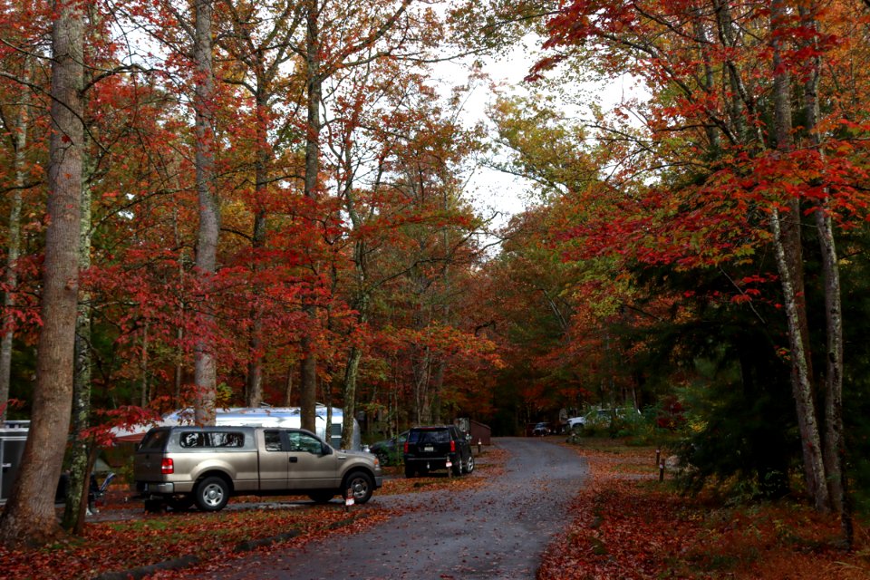 Cades Cove Campground, October 24, 2020 -- Warren Bielenberg (1)