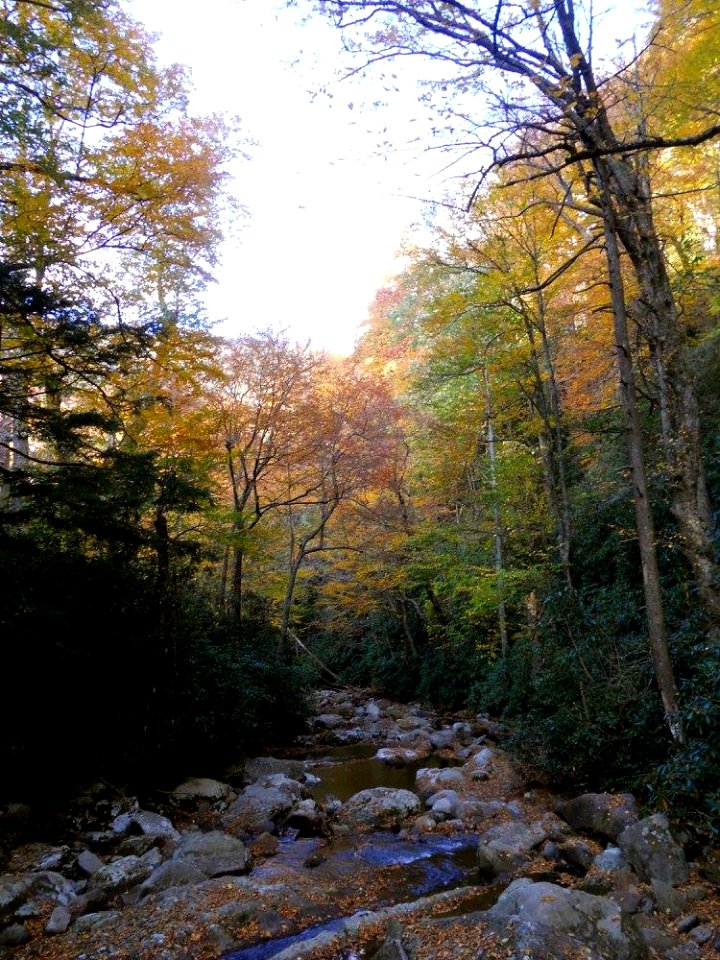 Chimney Tops Trial, October 2016--Andrea Walton