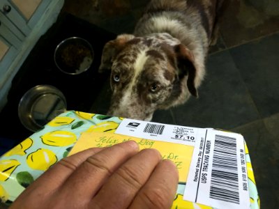 What's in Your Package, Felix?