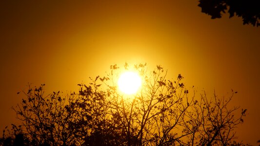 Sun the sky orange the shadow tree