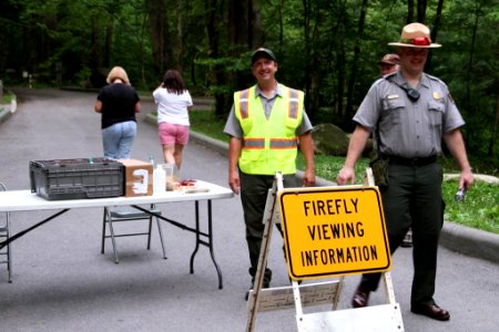 Rangers at synchronous fireflies info table, June 2013--Warren Bielenberg photo