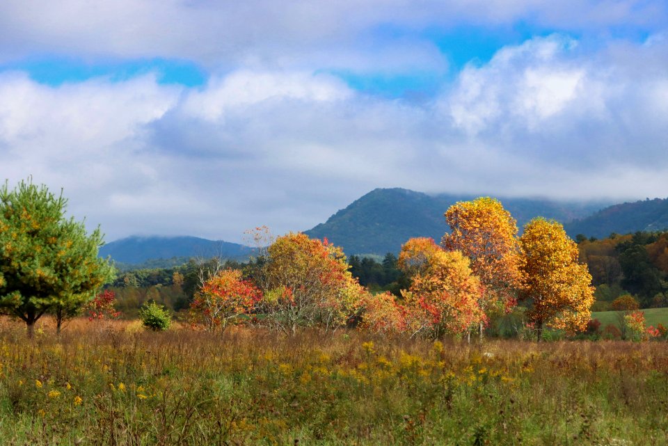 View East from Hyatt Lane, Bielenberg, October 13, 2020