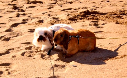 So much sand here!