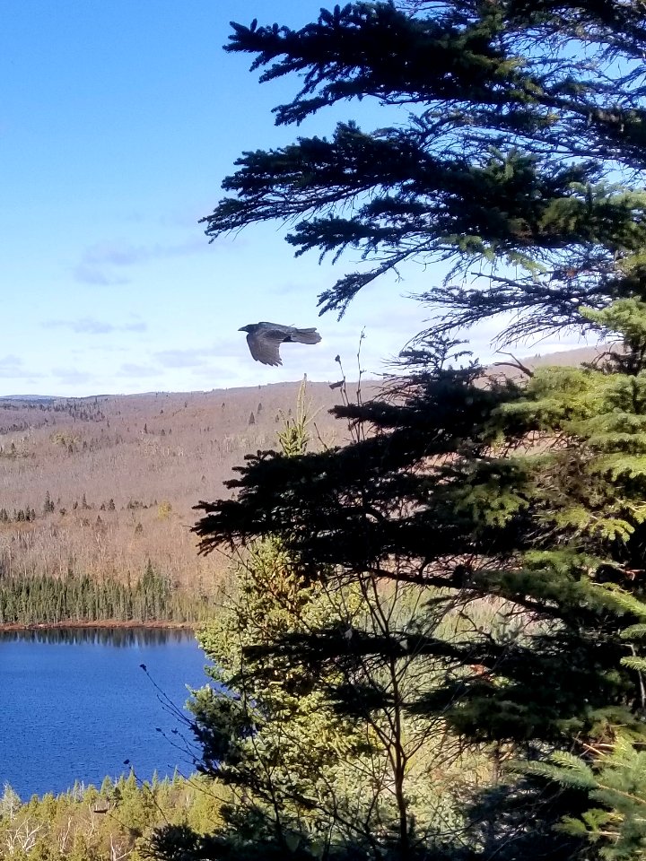 20181017-FS-Superior-SAR-004