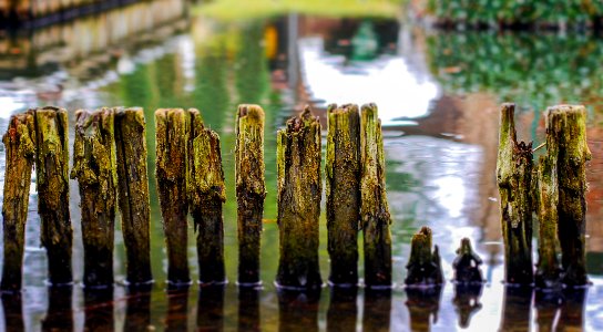 wooden gate color photo