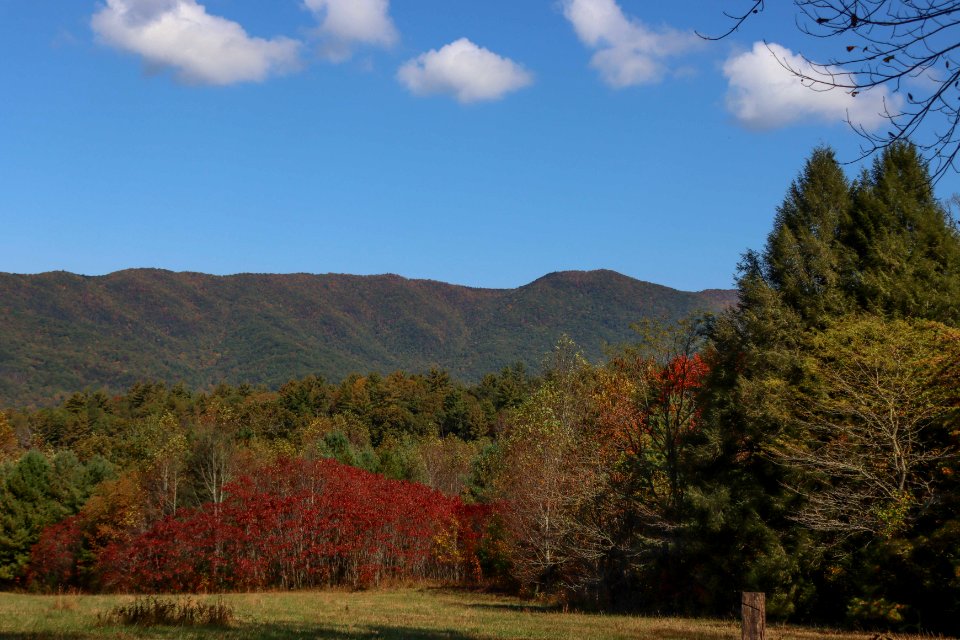 Cades Cove, October  20, 2020 -- Warren Bielenberg (4)
