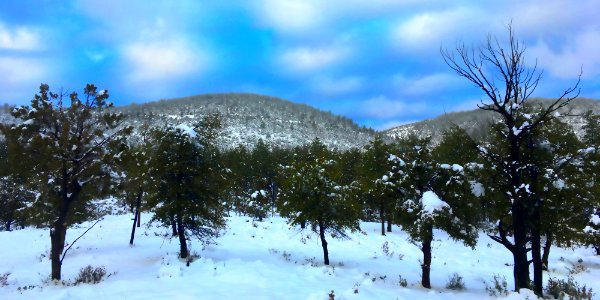 Snowy Day in Strawberry