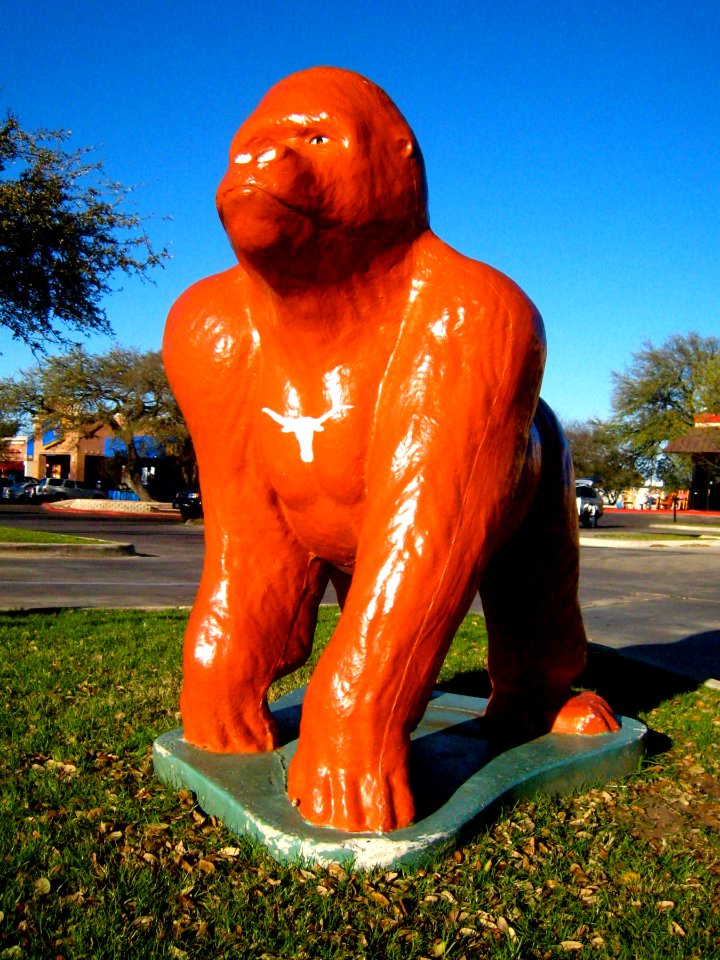 The Official Texas Primate