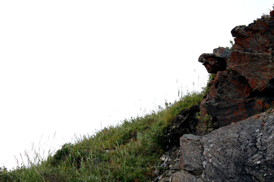 Denali National Park 22