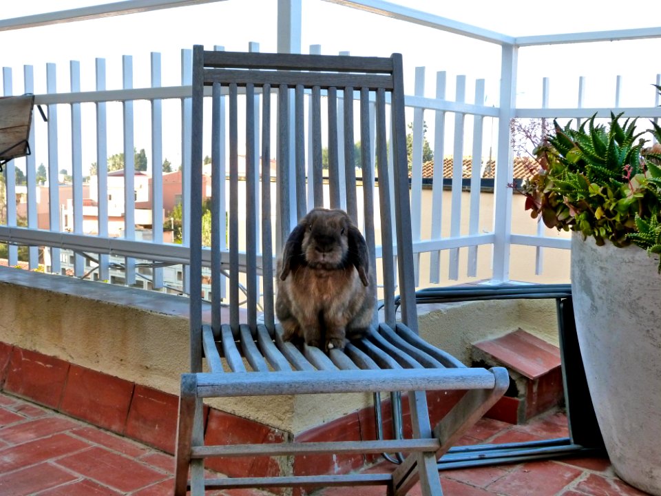 "Who says I can't be a human?"