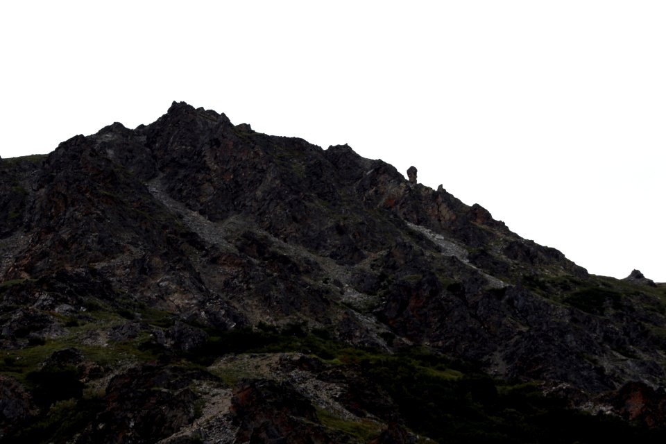 Denali National Park 17
