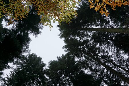 Yellow sky hole