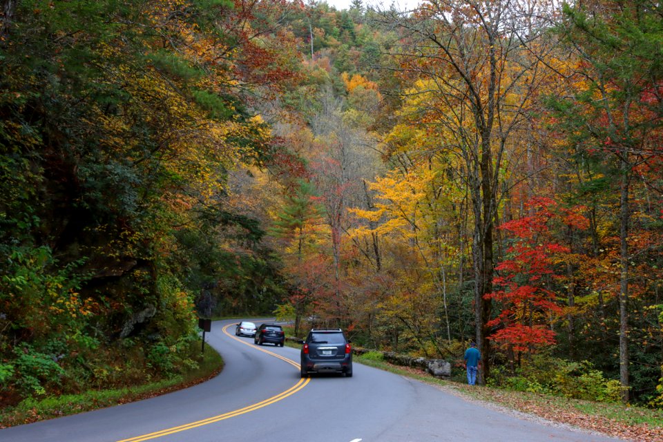 Laurel Creek Road, October 24, 2020 -- Warren Bielenberg (5)