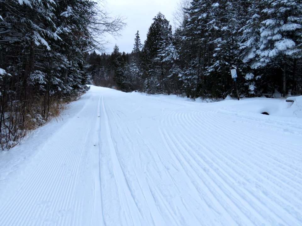Ski trail for classic and skate skiing