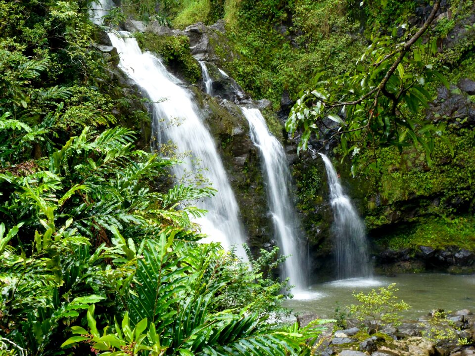 Nature island scenic