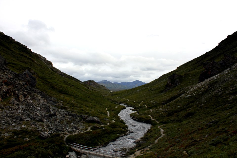 Denali National Park 19