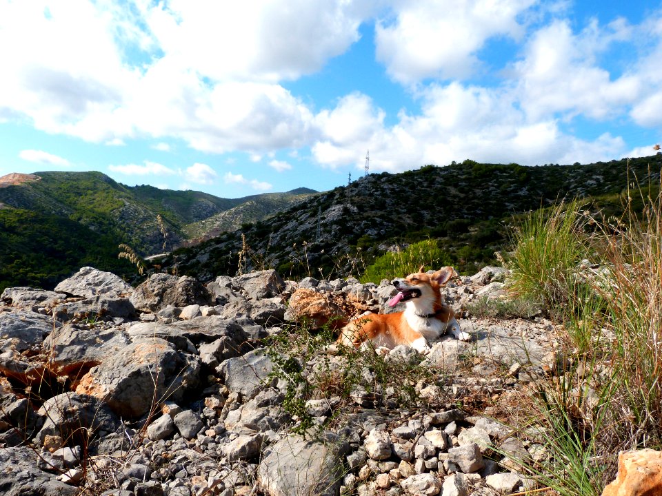 Sun hiking in Garraf
