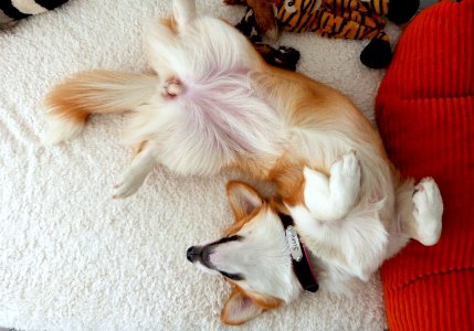 Full relaxation