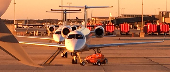 Flock of Plane Birds