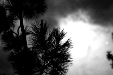 By the Bright High ISO Light of the Moon