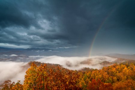 Foothills Parkway, November 2018--Joye Ardyn Durham photo