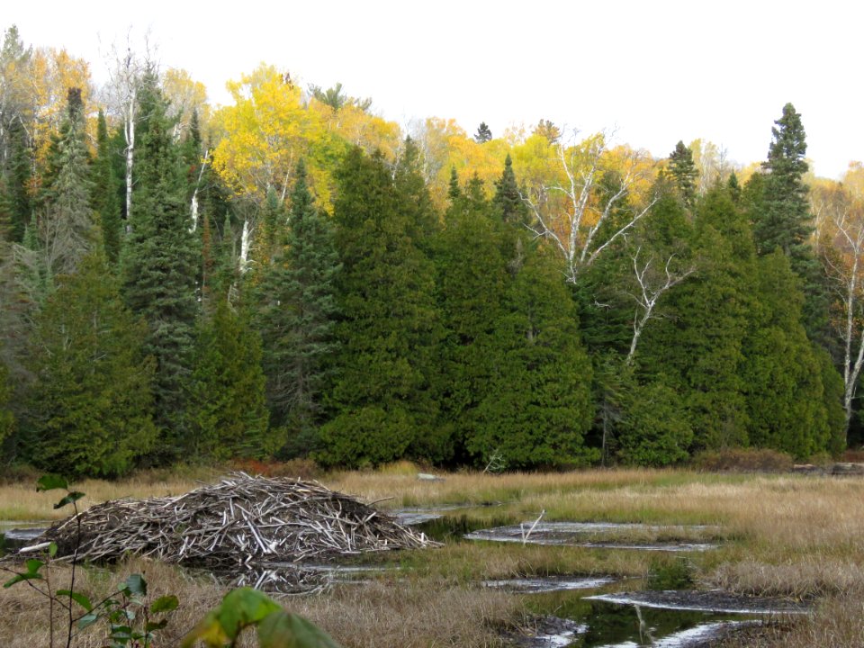 20201006-FS-Superior-SAR-017