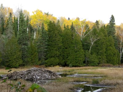 20201006-FS-Superior-SAR-017