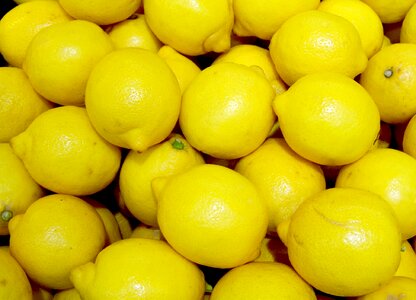 Lemon fruit yellow