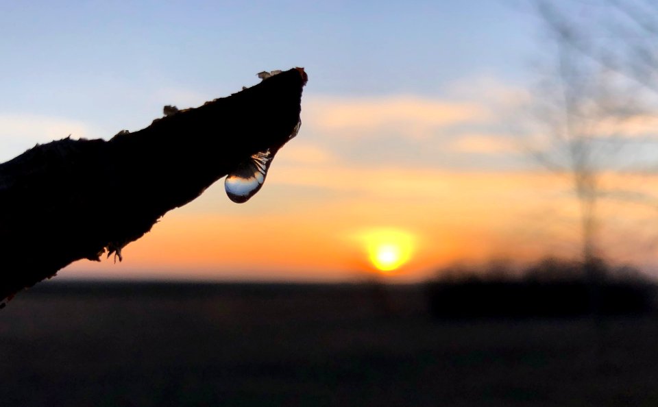 2021/365/97 Sap to Sun