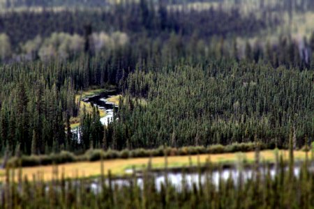 ALCAN Highway 2