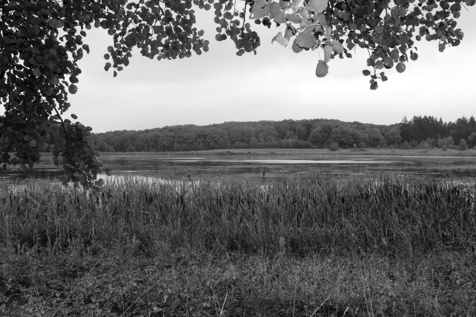 Vulkaneifel autumn germany