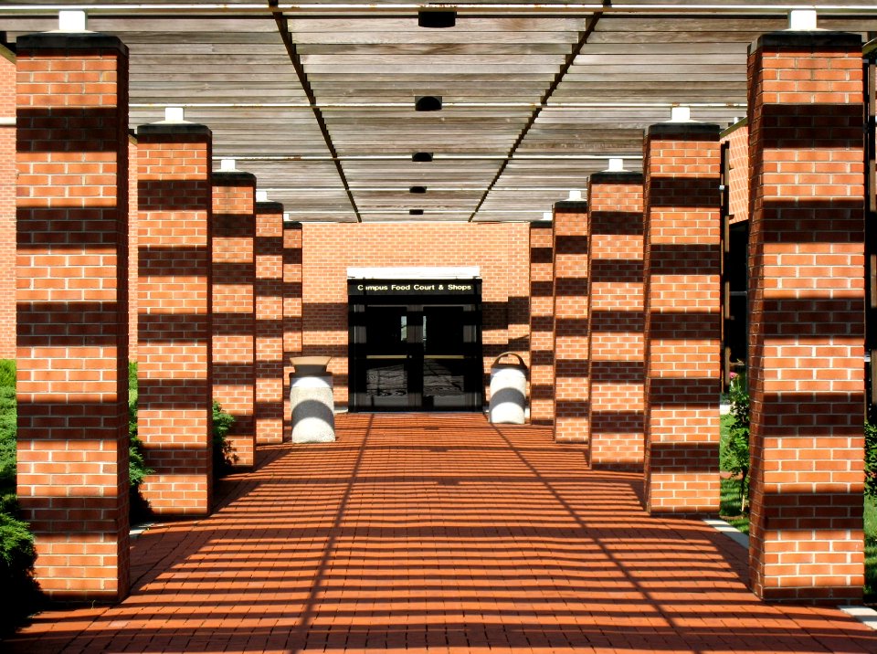 Light, Shadow, Perspective 2