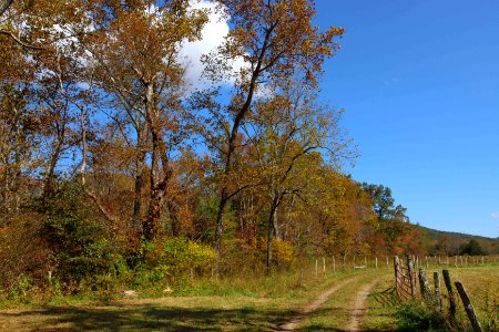 Cades Cove, October  20, 2020 -- Warren Bielenberg (3)