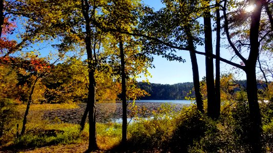 Daingerfield State Park photo