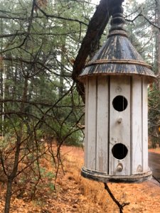 Split Level, Wood Lot, Very Charming