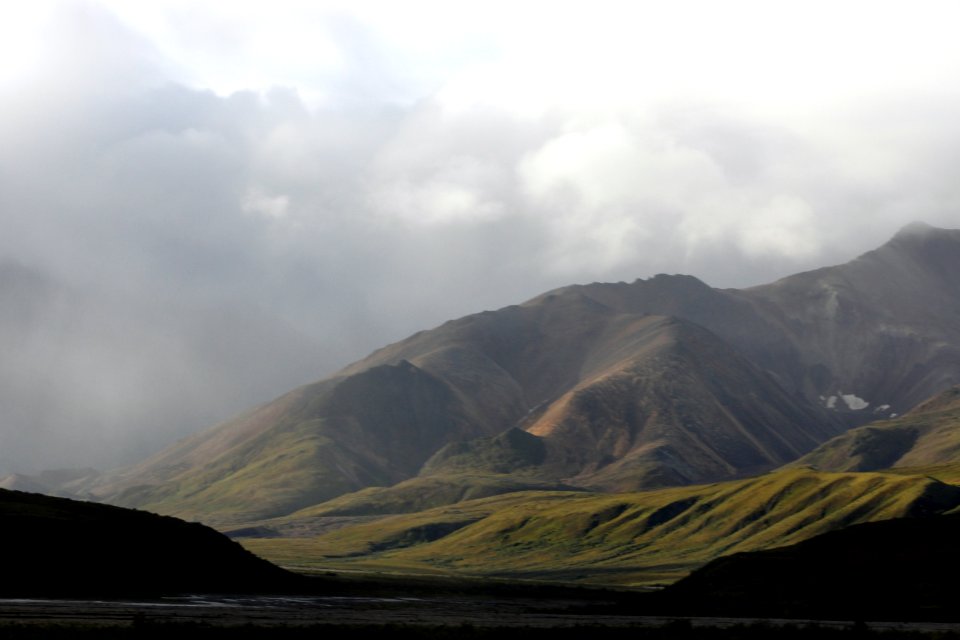 Denali National Park 13