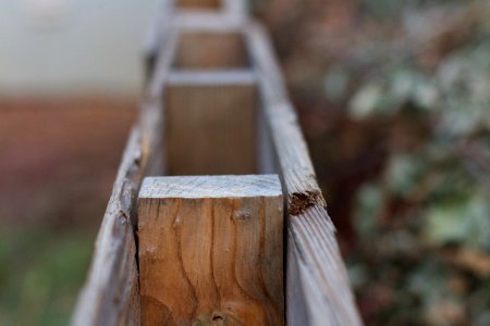 Along The Palette Fence Line