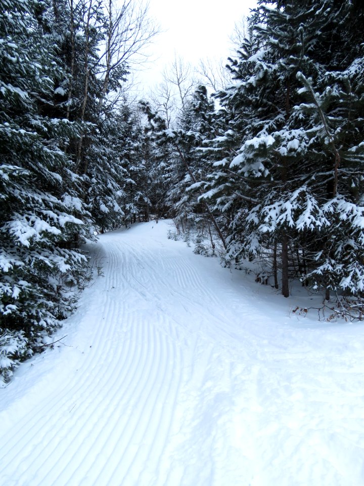Sugarbush cross country ski trail photo